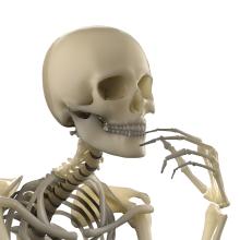 Pondering Skeleton
